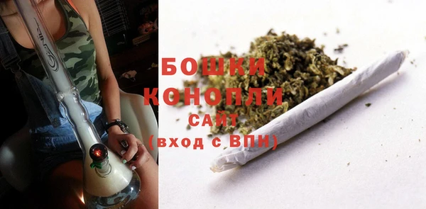 МДПВ Богородицк
