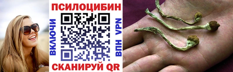 Псилоцибиновые грибы Cubensis  Новохопёрск 